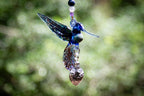 Blue Hummingbird Spotted Red Wings with Keepsake Pendant